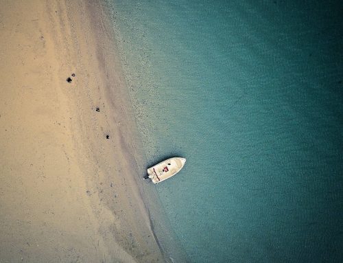 Turtle Island Drone Photography