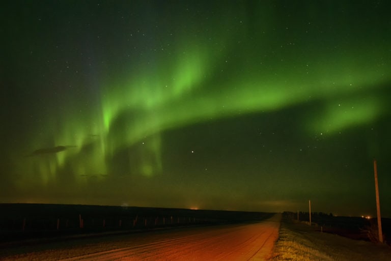 Aurora borealis lights up the night sky with vivid green colors over a quiet rural road.